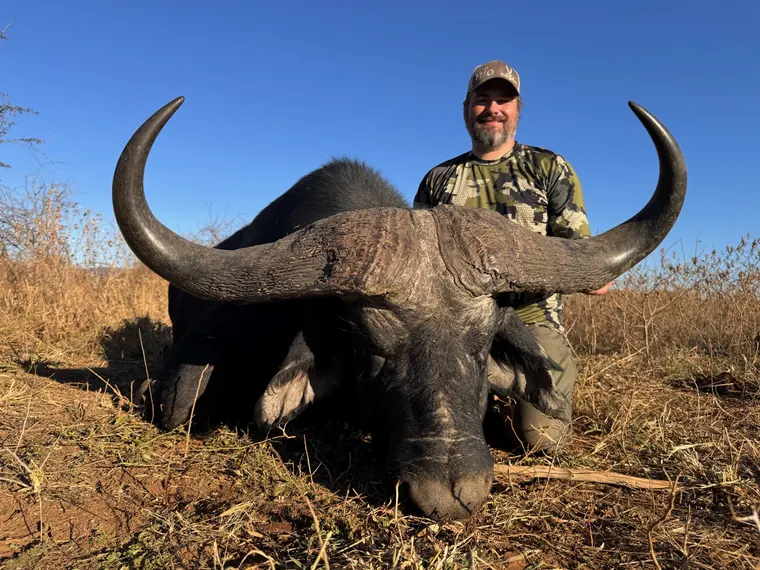 Hunter with a mature Cape buffalo trophy in South Africa