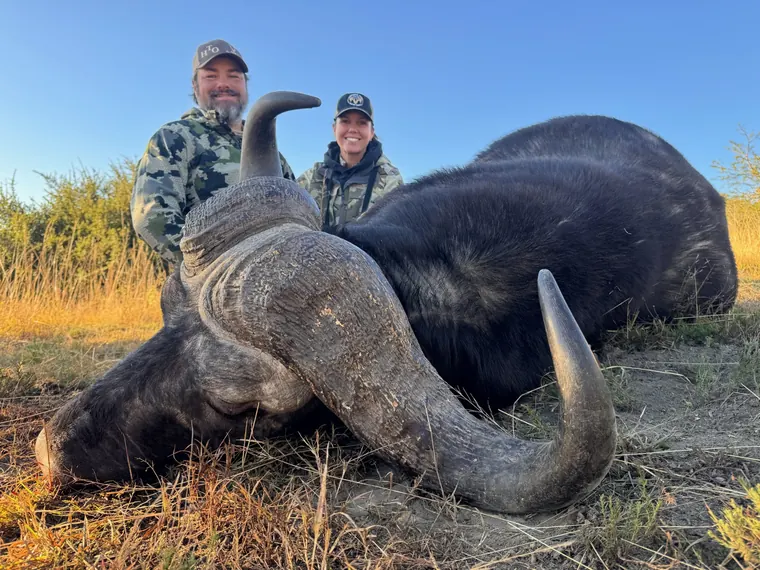 Two hunters with a Cape buffalo trophy in South Africa