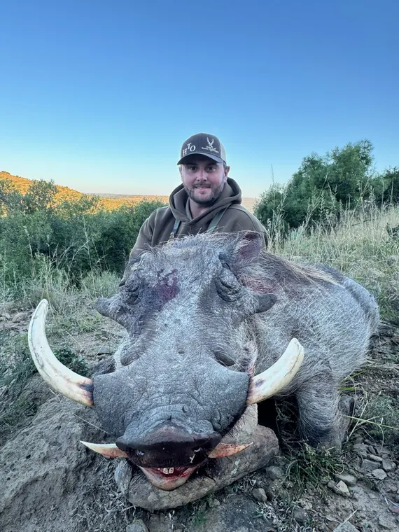 Hunter with a mature warthog trophy in South Africa