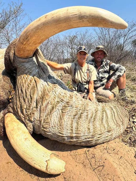 Hunters with an elephant from the Botswana album