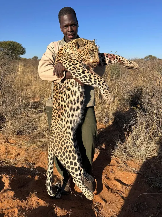 Hunters with a leopard from the Botswana album