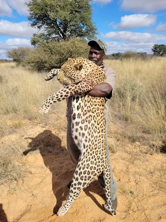 Hunters with a leopard from the Botswana album