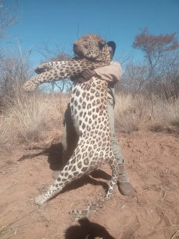 Hunters with a leopard from the Botswana album