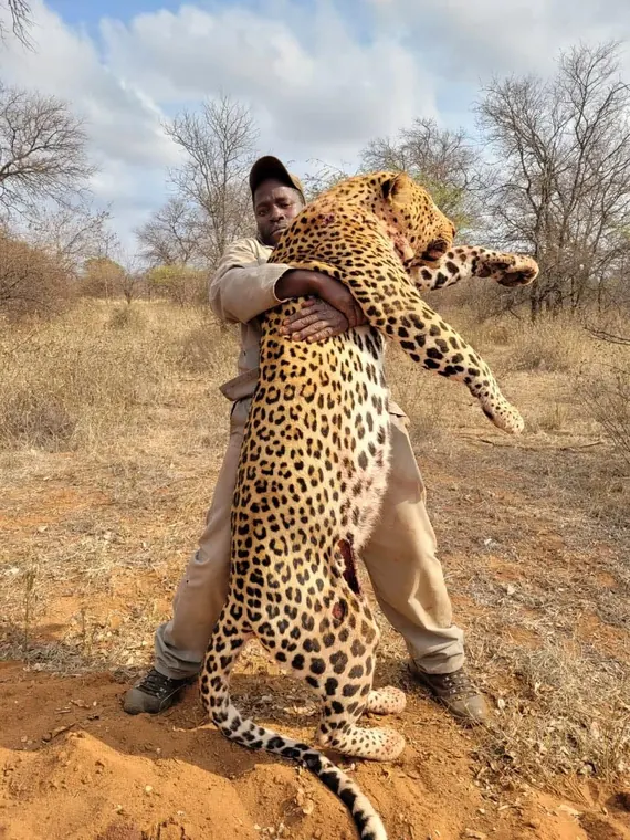 Hunters with a leopard from the Botswana album