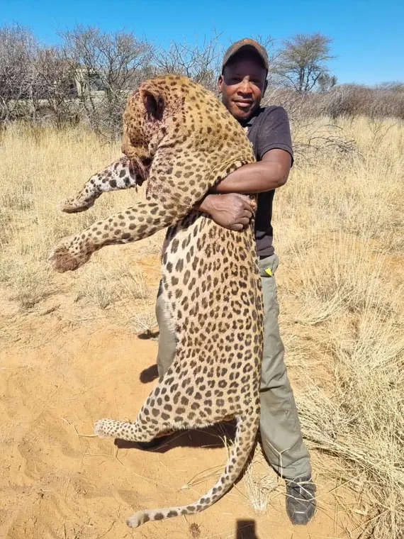 Hunters with a leopard from the Botswana album