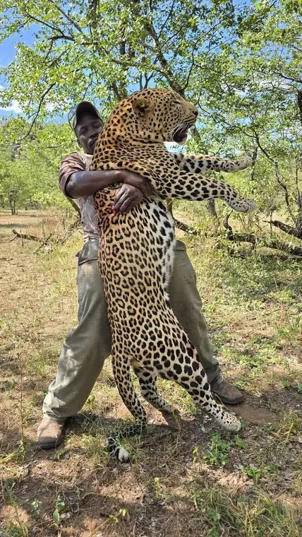 Hunters with a leopard from the Botswana album