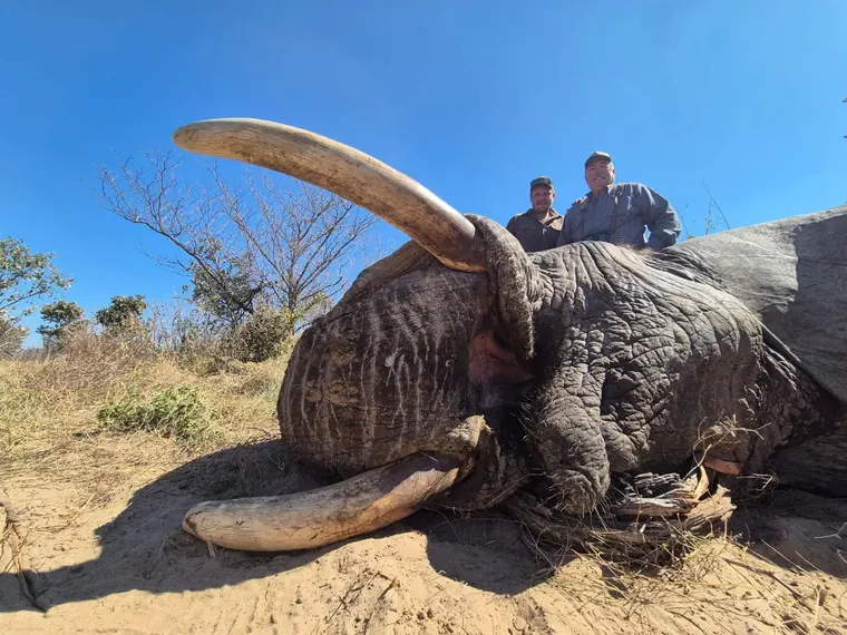 Hunters with an elephant from the Botswana album