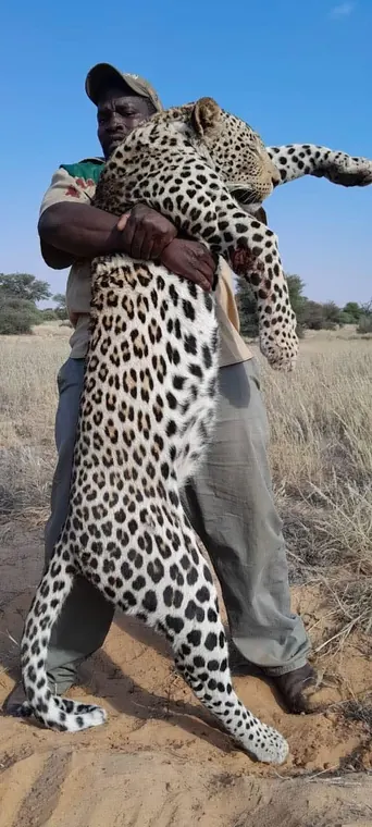 Hunters with a leopard from the Botswana album
