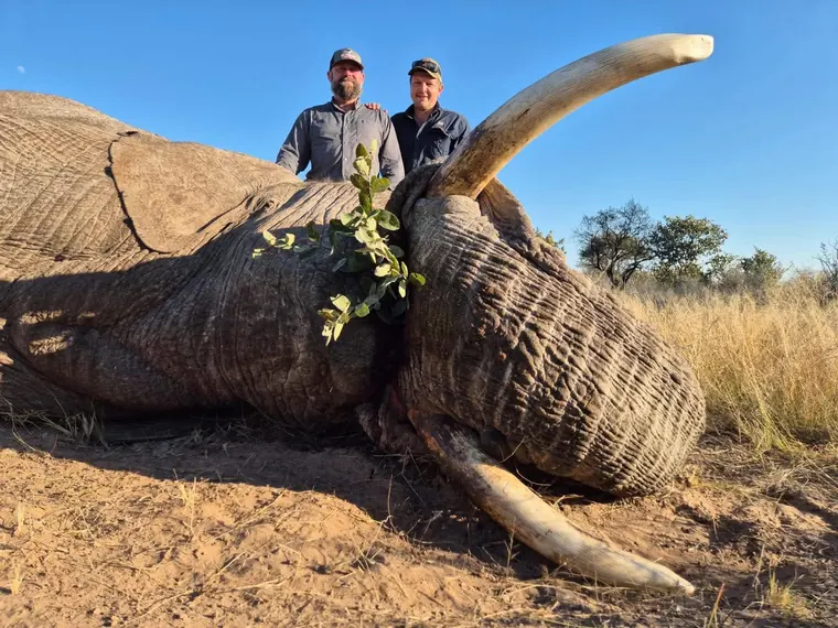 Hunters with an elephant from the Botswana album