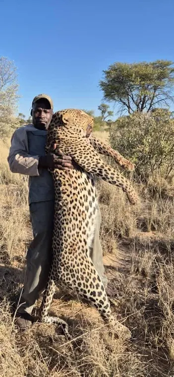 Hunters with a leopard from the Botswana album
