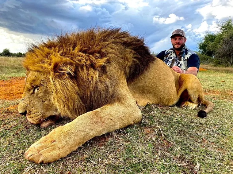 Hunter with a lion in open grassland