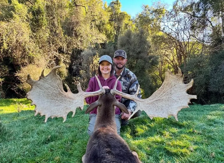 Two hunters with a deer in green woodland