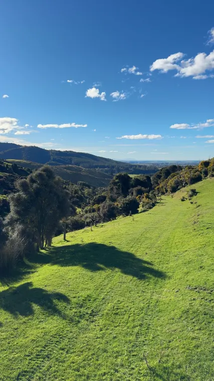 Green hills and blue sky across a New Zealand hunting property