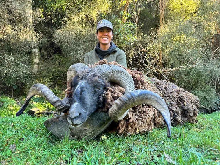 Hunter with a mature ram trophy in New Zealand