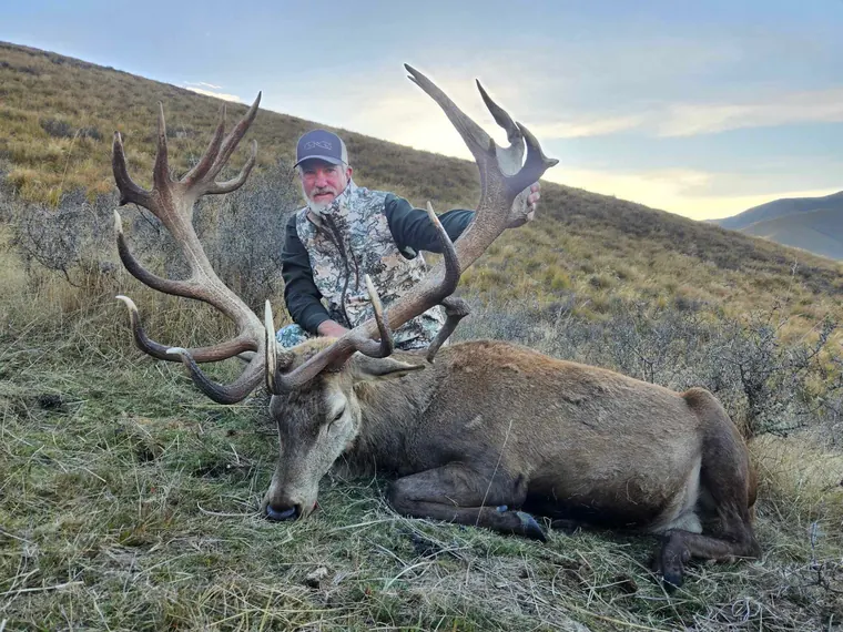 Hunter with a mature red stag in open New Zealand hills