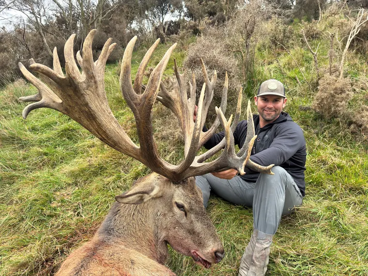 Hunter with a heavy antlered red stag in New Zealand