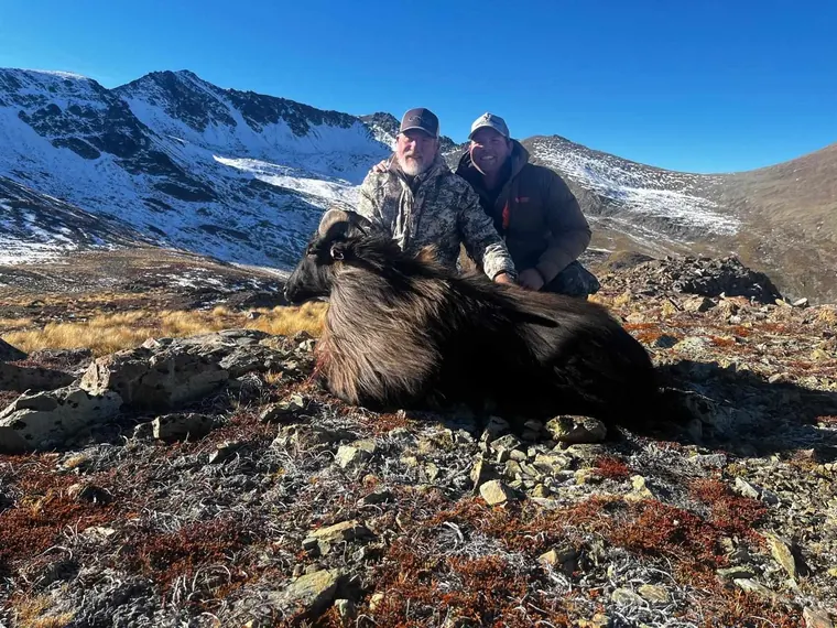 Hunting party with a Himalayan tahr trophy in snowy New Zealand mountains
