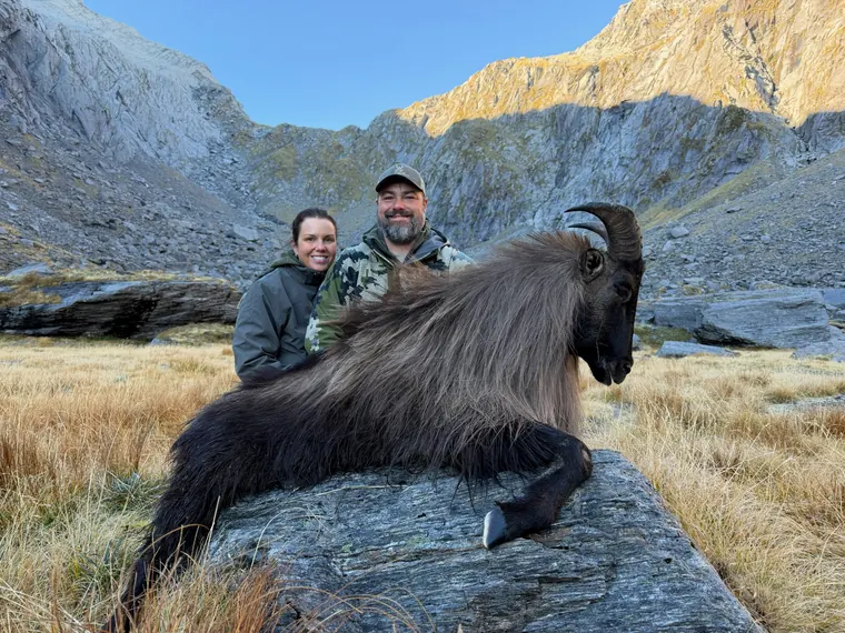Two hunters with a Himalayan tahr in a New Zealand alpine basin