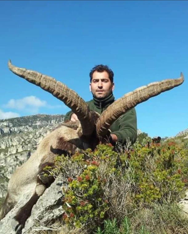 Hunter with a Beceite ibex on a rocky hillside, Spain