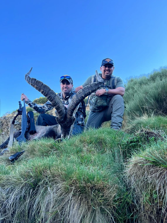 Two hunters with a Beceite ibex on a grassy slope, Spain