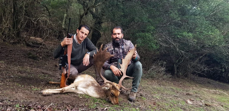 Two hunters with a fallow deer in a woodland clearing, Spain