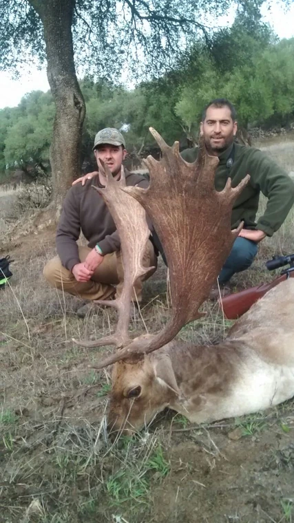 Two hunters with a fallow buck beneath the trees, Spain