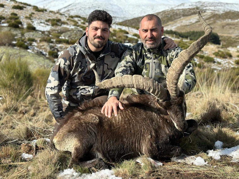 Two hunters with a Gredos ibex among rocks and patches of snow, Spain