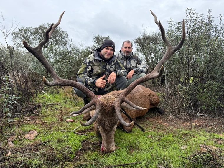 Two hunters with an Iberian red deer in woodland, Spain
