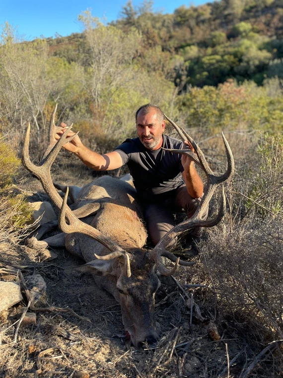 Hunter with an Iberian red deer in warm evening light, Spain