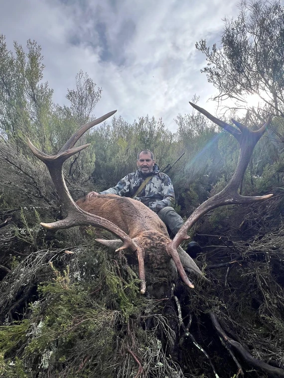 Hunter behind the antlers of an Iberian red deer on a wooded slope, Spain