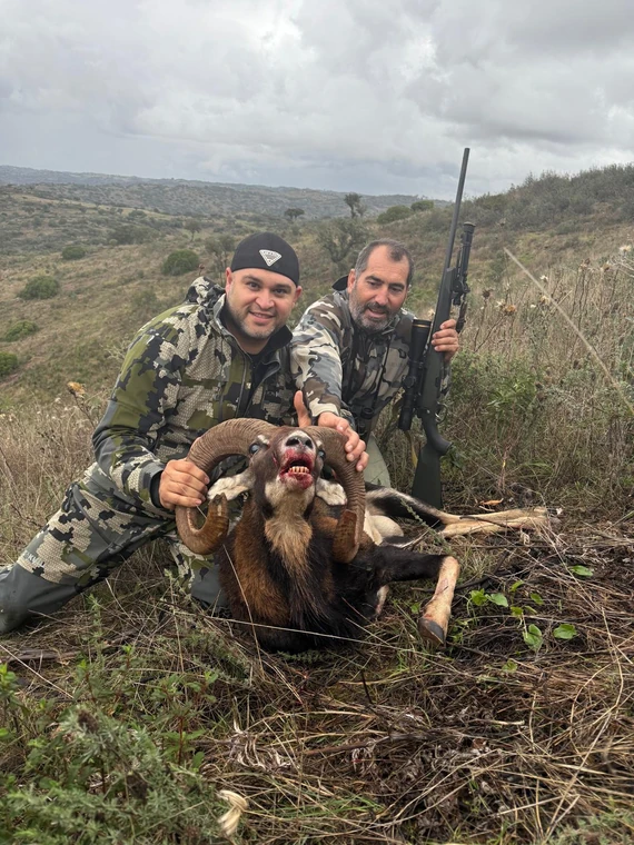 Two hunters with a mouflon ram in open country, Spain