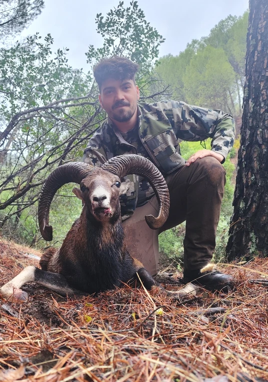 Hunter holding a mouflon ram beneath the trees, Spain