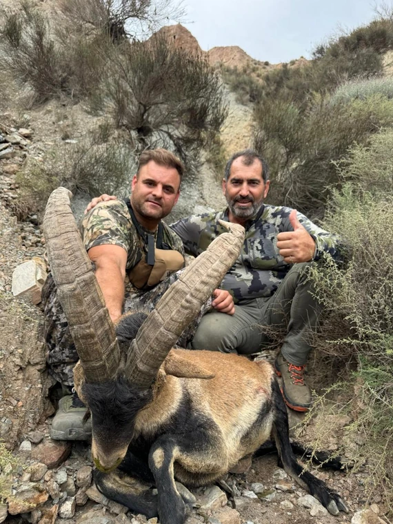 Two hunters with a Southeastern ibex in rocky scrubland, Spain