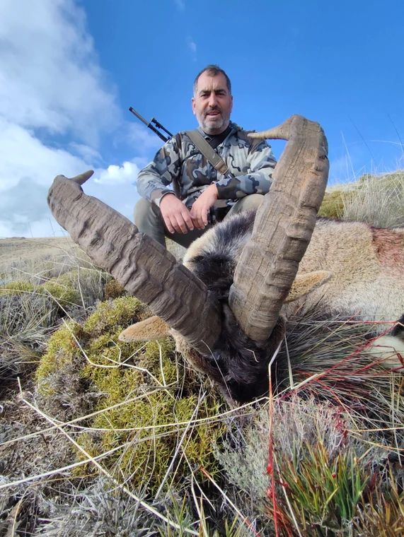 Hunter with a Southeastern ibex on a rocky slope, Spain