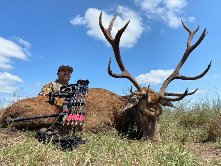 Bowhunter with a red stag in Dublin, Texas