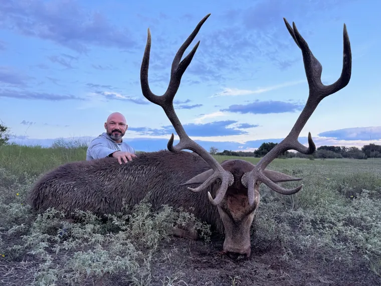 Hunter with a red stag in the soft light of dusk