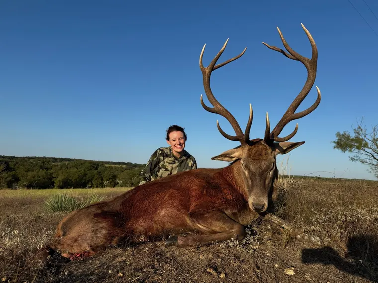 Hunter with a red stag beneath a clear blue Texas sky