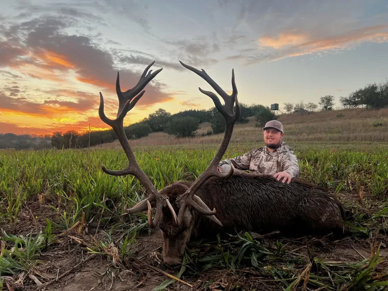Hunter with a red stag beneath a colorful evening sky