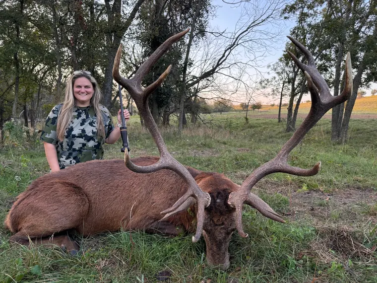 Hunter and red stag in Texas woodland