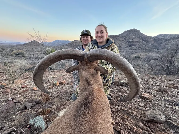Two hunters with an aoudad ram among West Texas rocks and brush